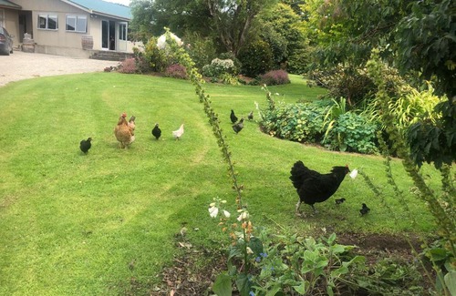 Waikana Bed & Breakfast | Southland Organic Farmstay