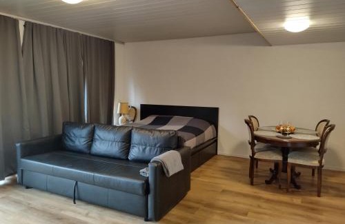 Les Paccots Apartment | Spacieux studio 38m2