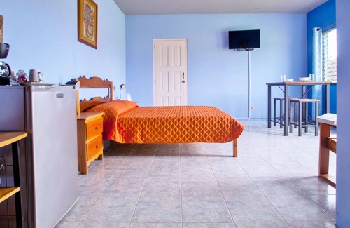 Benque Viejo Del Carmen Apartment | Spacious Studio (5 min from Mayan Ruin, Xunantunich!)