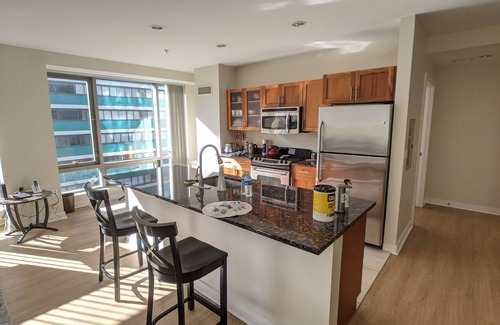 West End Apartment | Spacious 2 Bed/Bath Apt Nearby MGH,MIT,Harvard, Washer/Dryer in suite, Modern Bd