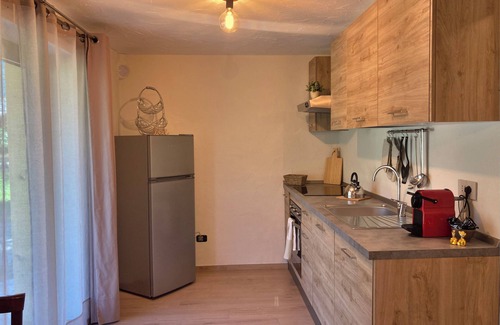 Bionaz Apartment | Spacious and bright studio apartment with large windows and a beautiful view of the mountains.