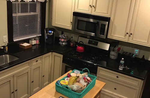 Neponset - Port Norfolk Apartment | Spacious and Clean 2 Bedroom in Dorchester Neighborhood of Boston