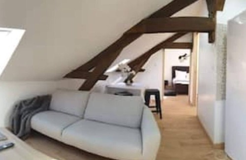 Chalon-sur-Saone Apartment | Spacious apartment in the heart of Chalon with rooftop views