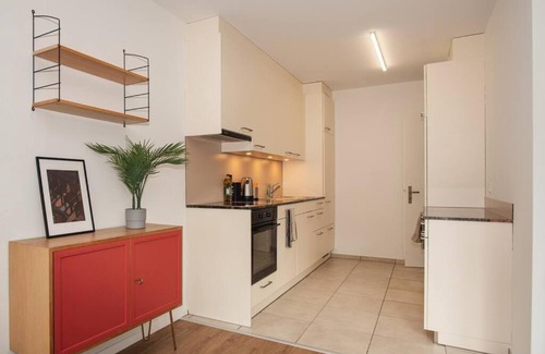 Matthaus Apartment | Spacious apartment next to Rhine
