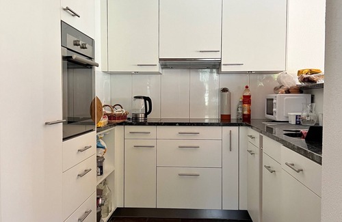 Grindelwald Apartment | Spacious Apartment With Outstanding Views Direct Access Top of Europe