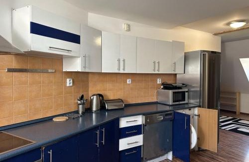 Liberec Apartment | Spacious duplex apartment with fireplace by the Nisa River