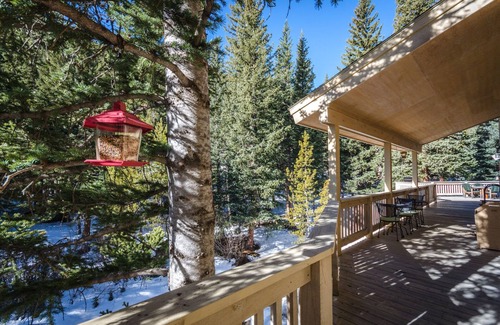 Saint Mary's House | Spacious Luxury Colorado Mountain Lodge! Perfect for Family Reunions & Retreats