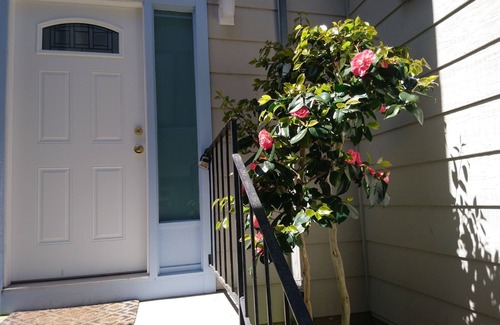 South San Francisco Apartment | Spacious, new private South San Francisco home