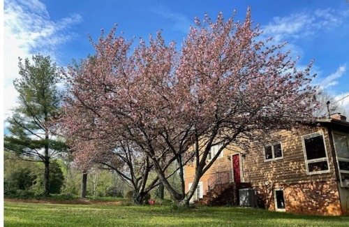Haywood House | Spacious Retreat with Outdoor Firepit & Large Deck
