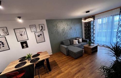 Vysne Opatske Apartment | Sparrow apartmens - Panorama