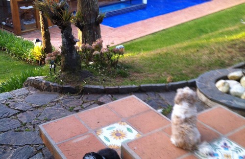 Vila Loli House | Special Casa da Pedra, Pool, Saunas, Chale, Wifi, Sky, Mountain View