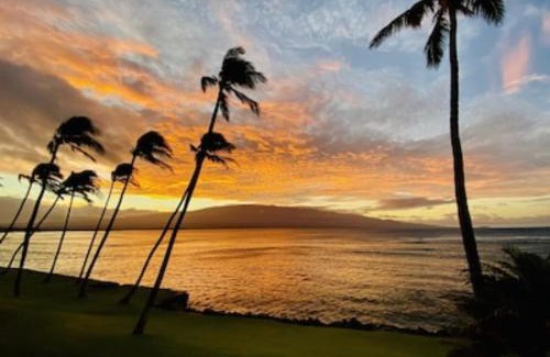Maalaea Apartment | Spectacular luxury , modern oceanfront condo Maalaea-Kihei ,Maui