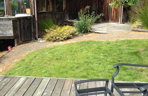 Fort Bragg Cottage | Spectacular Oceanfront with Ocean, River And Sand Dune Views!