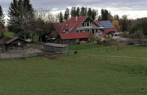 Vogt Apartment | Spehnerhof