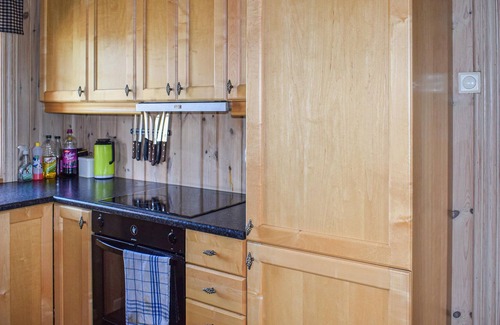 Vinje House | Spend a nice vacation in Vinje in Telemark.
