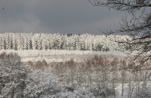 Amel House | Spend time with friends or family in nature, dogs welcome !