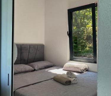 Bajina Basta House | Splav Galija