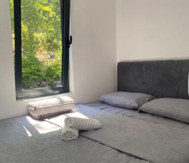 Bajina Basta House | Splav Galija
