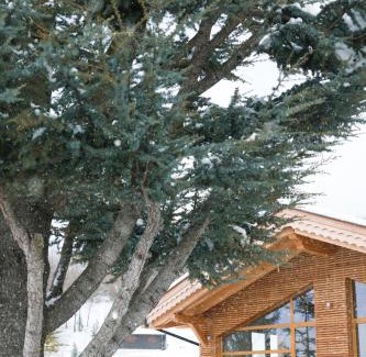 Corbesassi Hotel | Sport Hotel Prodongo