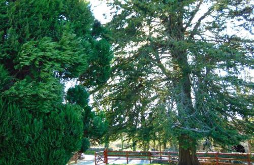 Shanavooneen House | Sporting Lodge Shanagolden
