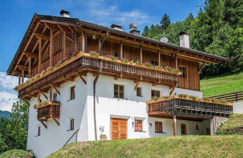 Campo di Trens Apartment | Sprechenstein