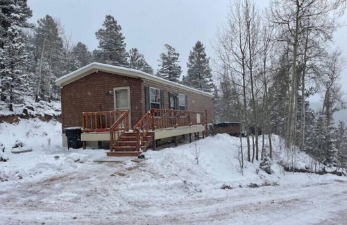 Cripple Creek Cabin | Spring Special Price Private, Romantic, Dog friendly, NEW HotTub, Hiking