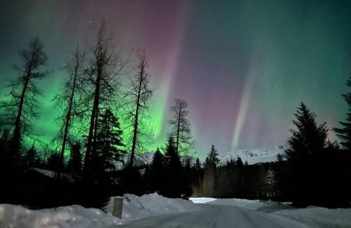 Bear Creek House | Spruce Goose Lodge
