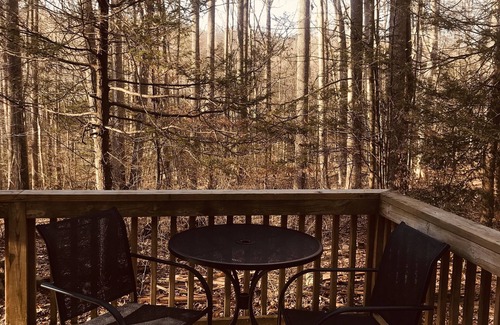 Rocky Ridge Cabin | Spruce Run Cabin, a wooded retreat on the mountain