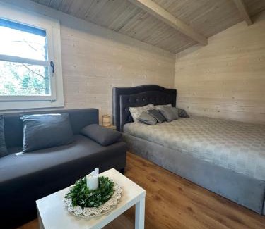 Kaunas County House | Spyglyne