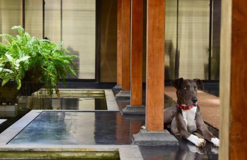 Bandaranayake Bed & Breakfast | Sri Mathie Historic Estate