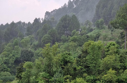 Muzaffarabad Bed & Breakfast | Srinagar Homes
