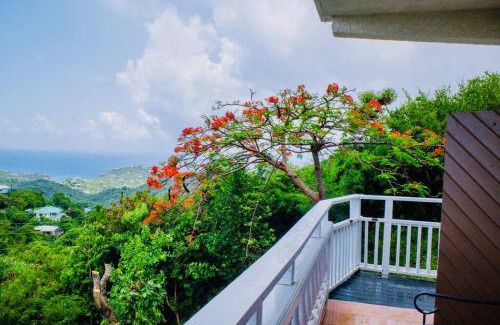 Estate Pastory Apartment | St John, USVI, Hillside Villa, Cruz Bay
