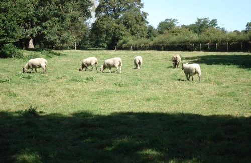 Pewsey House | Stable Cottage - Milton Lilbourne