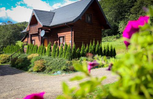 Cisna House | Stacja Żubracze