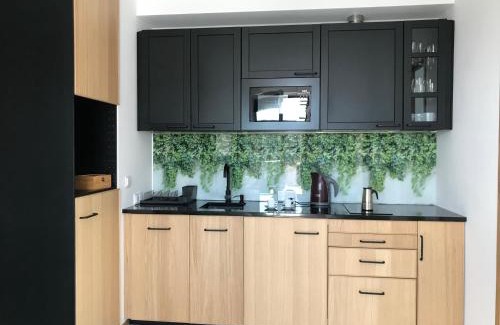 Praga Apartment | Stadium Apart Terrace