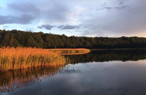 gmina Gardeja Bed & Breakfast | Stajnia Sarnówek Nad Jeziorem Różany