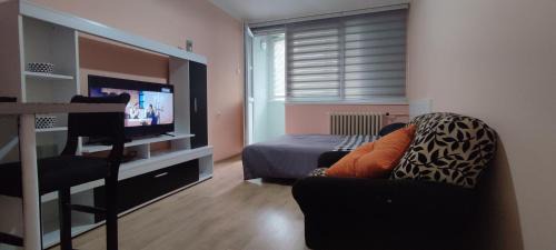 Bor Apartment | Stan na dan Bor