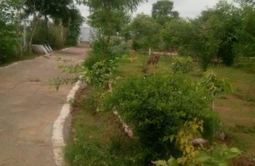 Shri Madhopur House | StarGaze