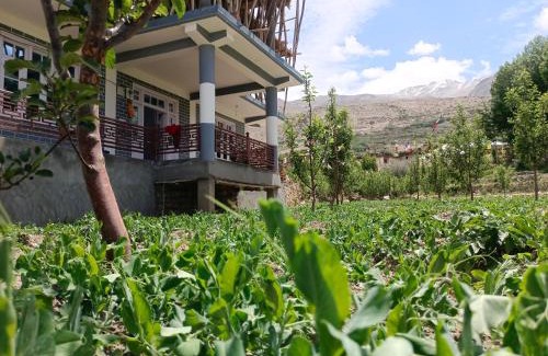 Nako House | stargazing homestay Nako