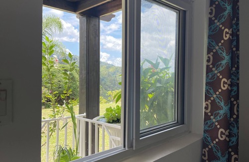 Silver Hill Gap Ski Chalet | Starlight Chalet-Blue Mountain Escape-hiking trails, rivers & birding-breakfast.