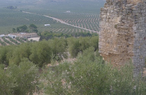 Torredonjimeno Cottage | Stately farmhouse in the heart of the Andalusian olive grove.