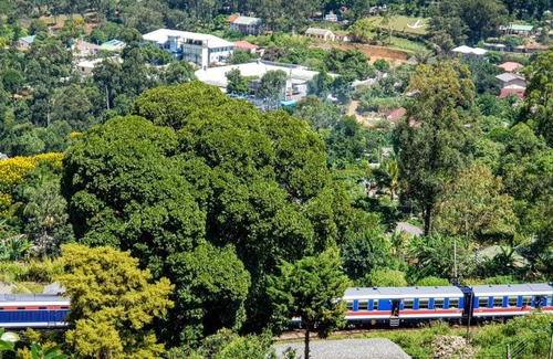 Diyathalawa House | Station hill holiday home