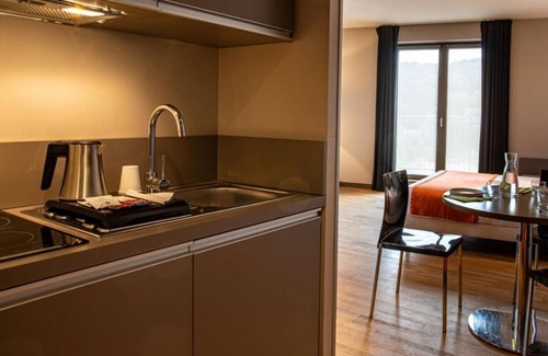 9th Arrondissement Hotel | Stay Close to Place des Terreaux! Pet-friendly Hotel, Kitchenette, City View!
