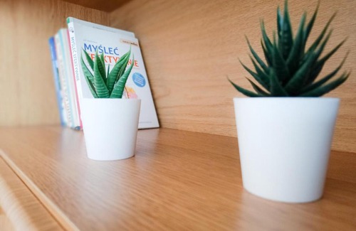 Krakow Apartment | Stay for Ukraine