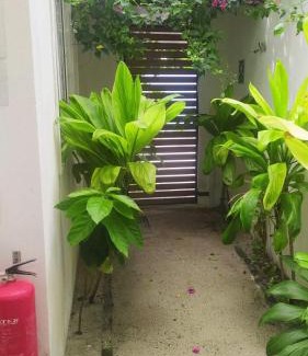 Thinadhoo House | Stay Kora