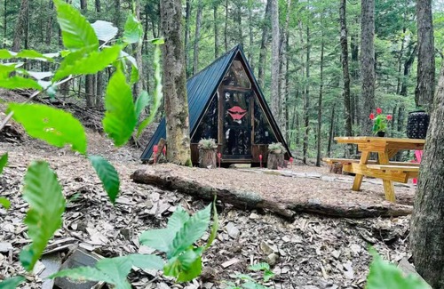 Sidney Cabin | Stay Wild - Upscale Glamping in NY