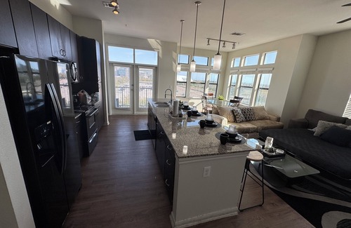 Braeswood Place Apartment | Steps To Rodeo/NRG/Medical Center