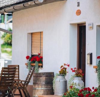 Zirovnica Apartment | Stol Apartments