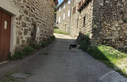 Ajoux House | Stone house in small hamlet, Ideal for nature lovers and hikers