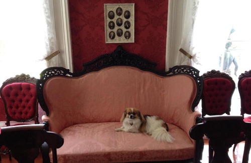 Natchez Bed & Breakfast | Stone House Musical B&B